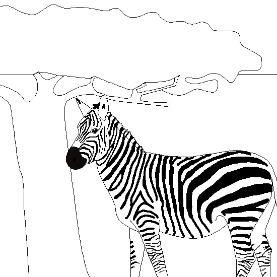 Раскраска: зебра (Животные) #13075 - Бесплатные раскраски для печати