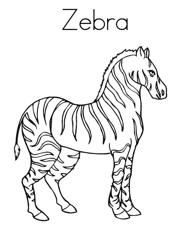 Раскраска: зебра (Животные) #13096 - Бесплатные раскраски для печати