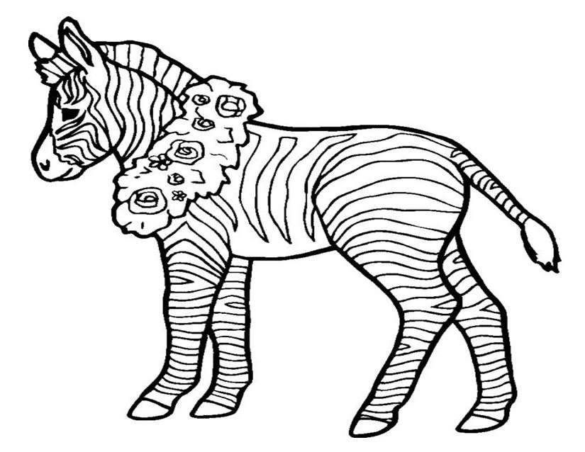 Раскраска: зебра (Животные) #13097 - Бесплатные раскраски для печати