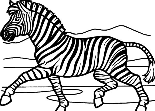 Раскраска: зебра (Животные) #13120 - Бесплатные раскраски для печати