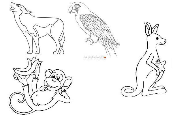 Раскраска: зоопарк (Животные) #12839 - Бесплатные раскраски для печати