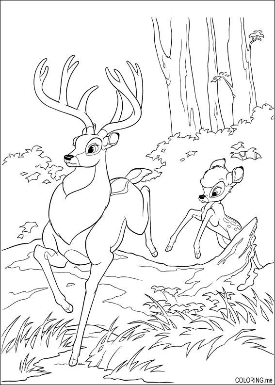 Раскраска: Bambi (Анимационные фильмы) #128733 - Бесплатные раскраски для печати