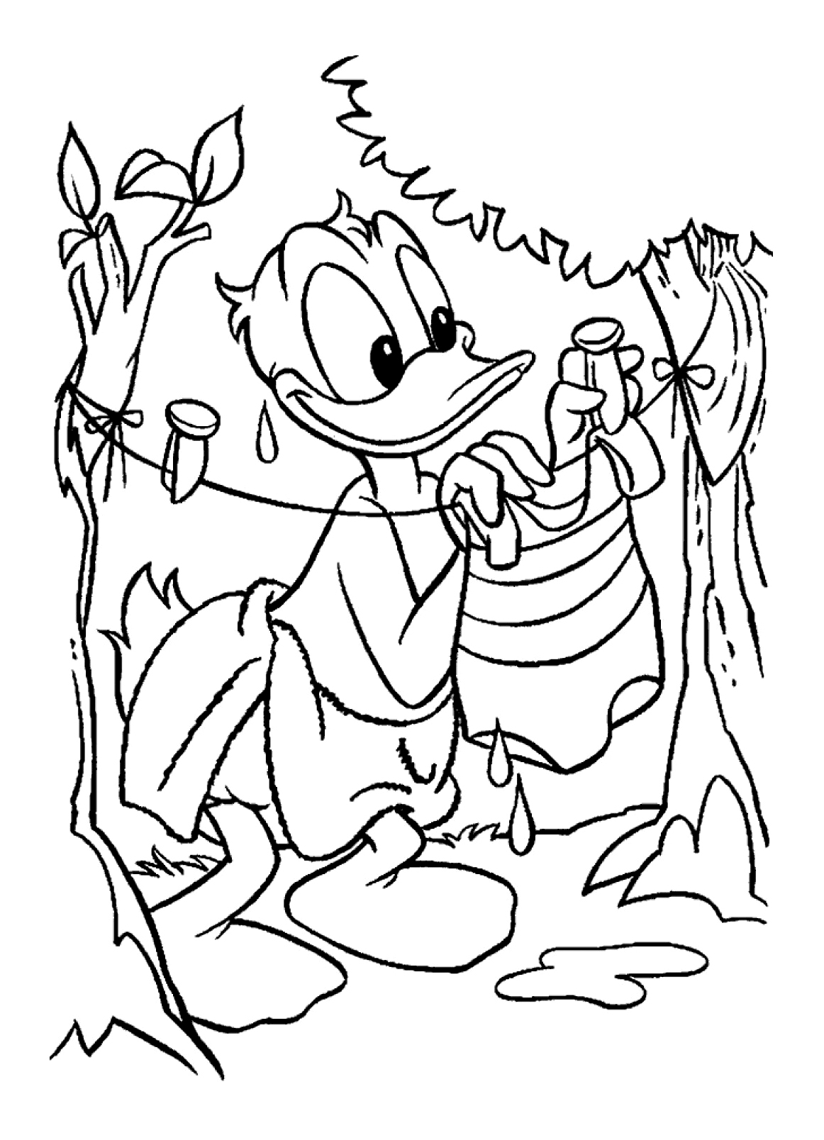 Раскраска: Дональд Дак (мультфильмы) #30379 - Бесплатные раскраски для печати