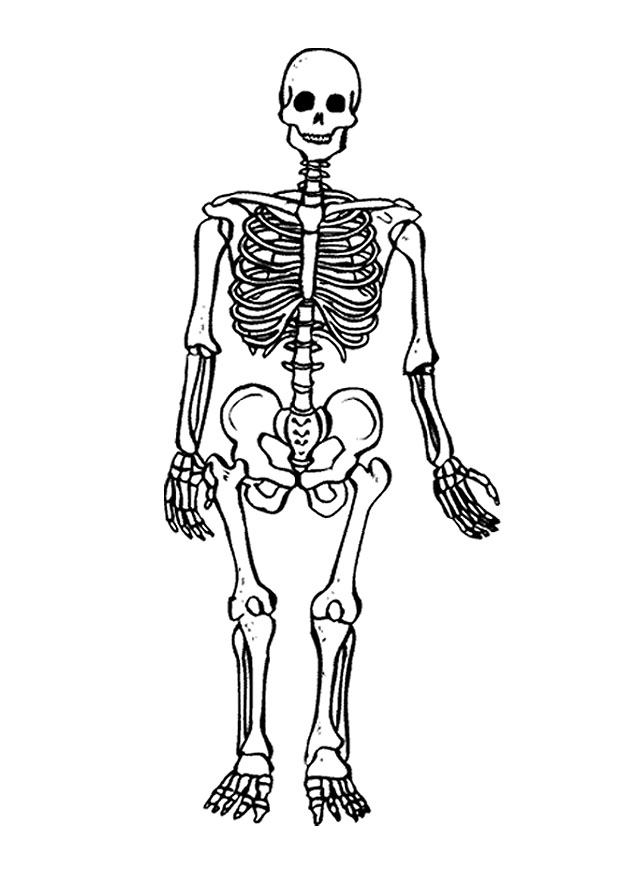 Раскраска: скелет (Персонажи) #147415 - Бесплатные раскраски для печати