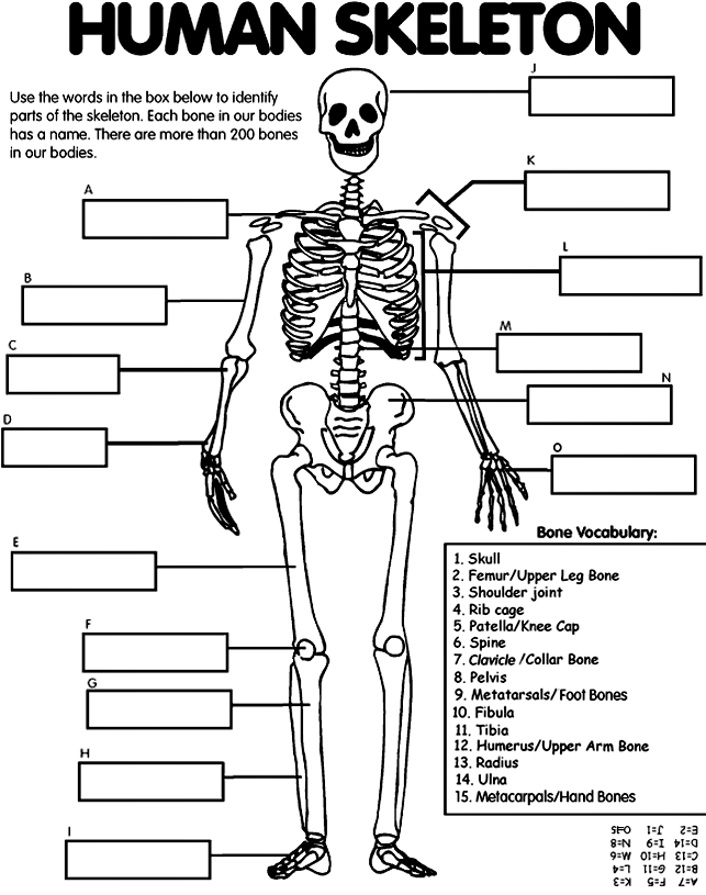 Раскраска: скелет (Персонажи) #147475 - Бесплатные раскраски для печати