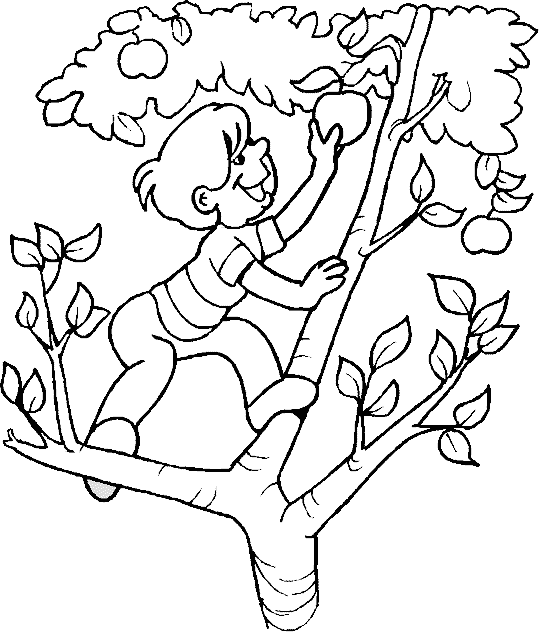 Раскраска: яблоко (природа) #163444 - Бесплатные раскраски для печати