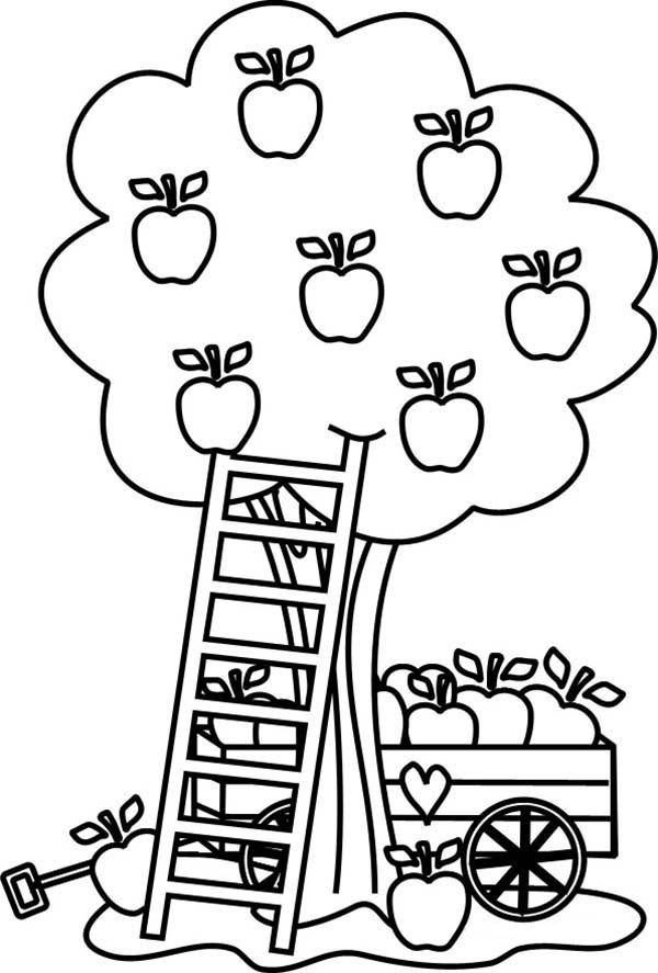 Раскраска: яблоко (природа) #163775 - Бесплатные раскраски для печати
