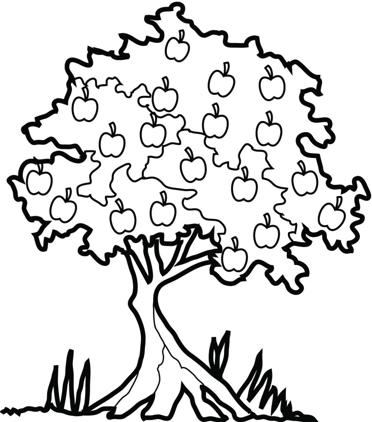 Раскраска: яблоко (природа) #163810 - Бесплатные раскраски для печати