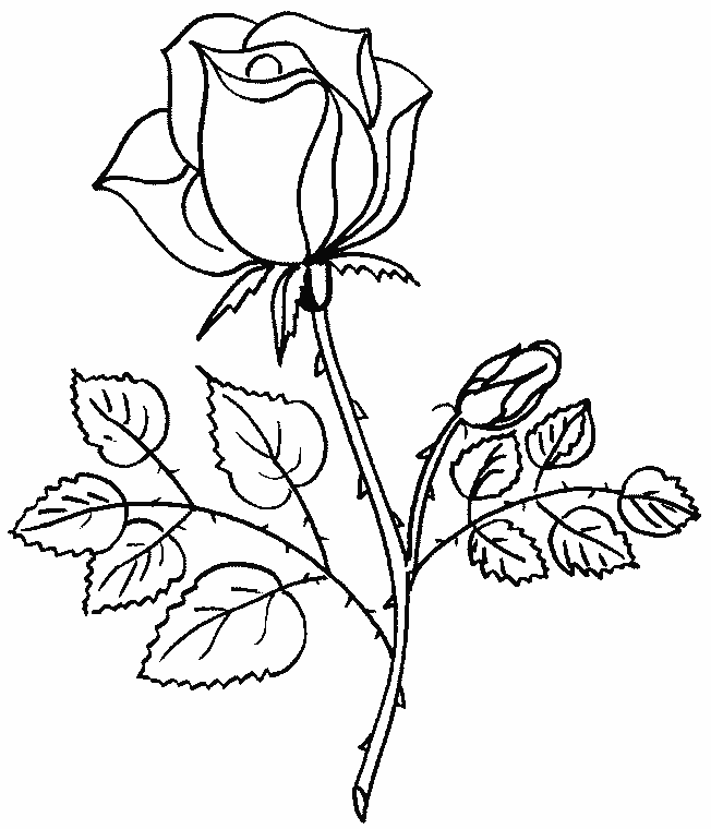 Раскраска: Букет цветов (природа) #160736 - Бесплатные раскраски для печати