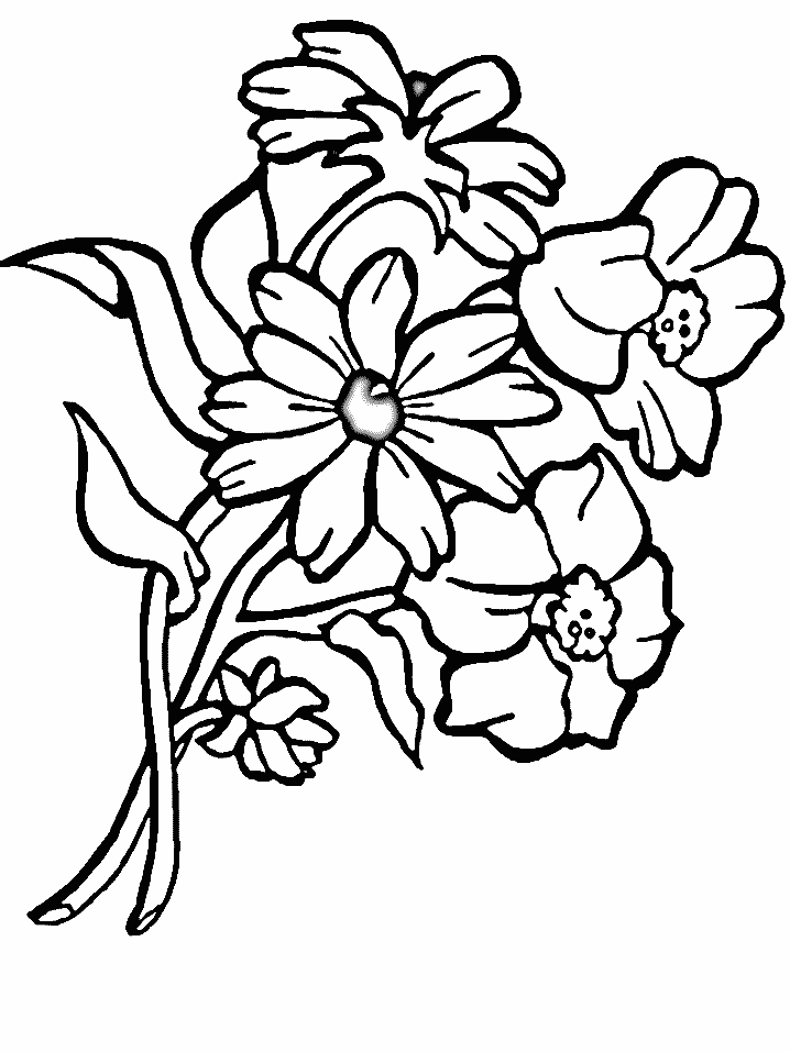 Раскраска: Букет цветов (природа) #160826 - Бесплатные раскраски для печати
