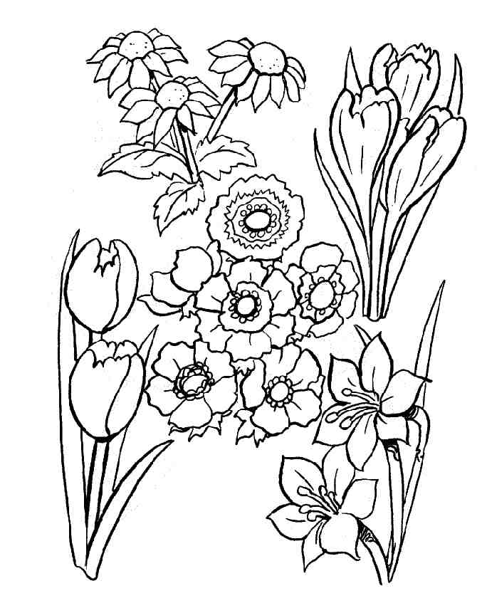 Раскраска: Букет цветов (природа) #160855 - Бесплатные раскраски для печати