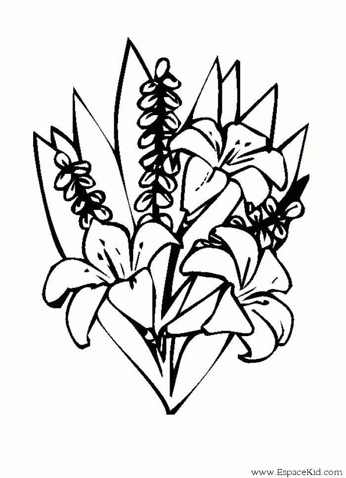Раскраска: Букет цветов (природа) #160891 - Бесплатные раскраски для печати