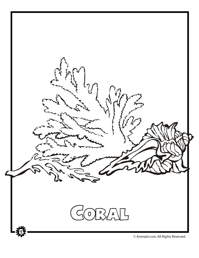 Раскраска: коралловый (природа) #162945 - Бесплатные раскраски для печати