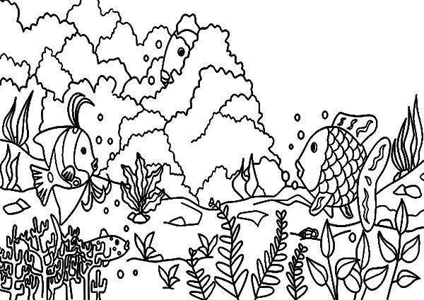 Раскраска: коралловый (природа) #162963 - Бесплатные раскраски для печати