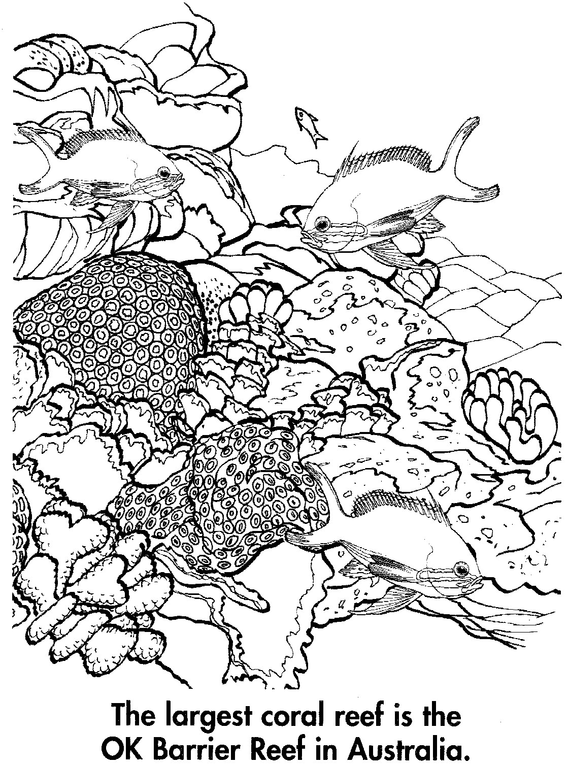 Раскраска: коралловый (природа) #162971 - Бесплатные раскраски для печати