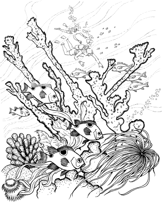 Раскраска: коралловый (природа) #163012 - Бесплатные раскраски для печати