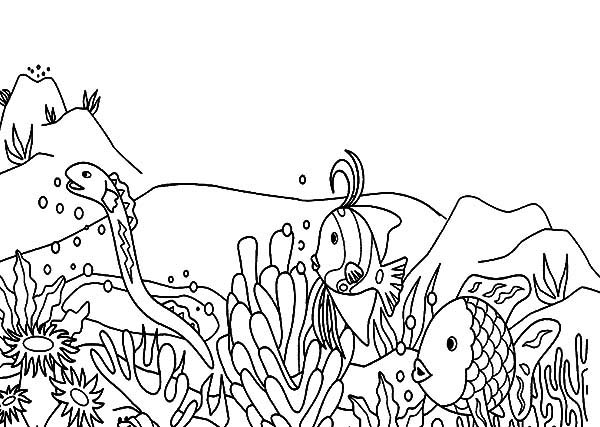 Раскраска: коралловый (природа) #163014 - Бесплатные раскраски для печати