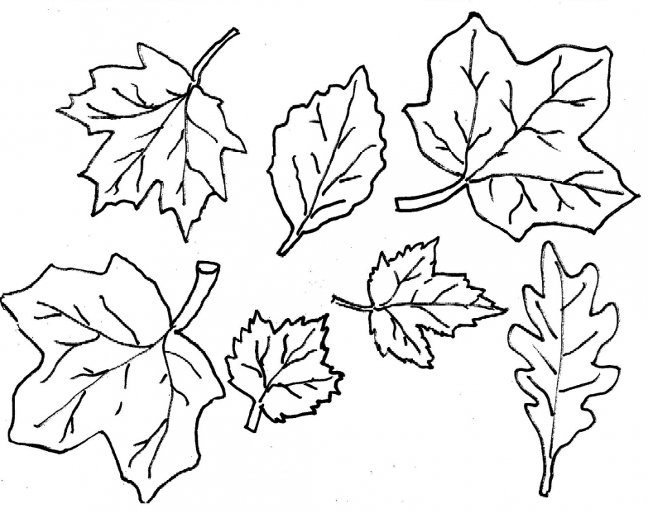 Раскраска: Осенний сезон (природа) #164059 - Бесплатные раскраски для печати