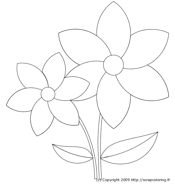 Раскраска: цветы (природа) #155040 - Бесплатные раскраски для печати