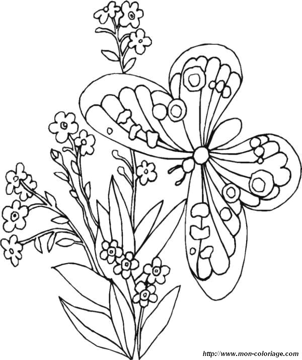 Раскраска: цветы (природа) #155125 - Бесплатные раскраски для печати