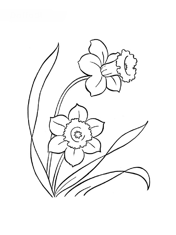 Раскраска: цветы (природа) #155250 - Бесплатные раскраски для печати
