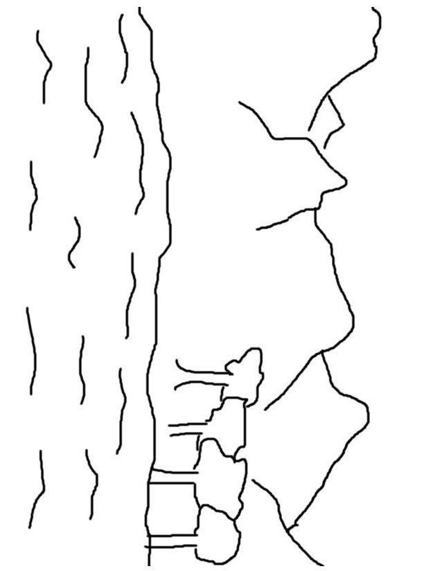 Раскраска: гора (природа) #156583 - Бесплатные раскраски для печати