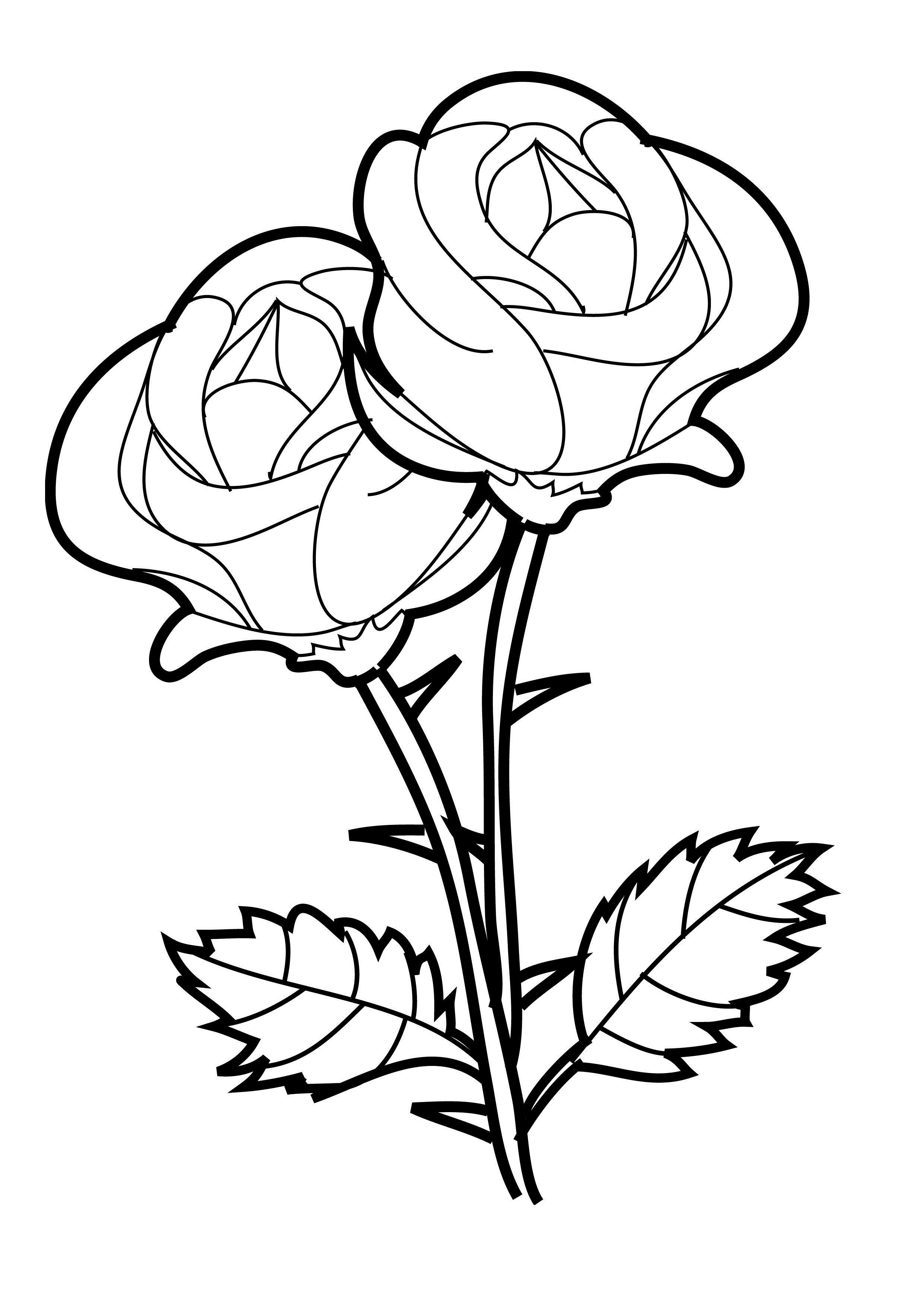 Раскраска: розы (природа) #161890 - Бесплатные раскраски для печати