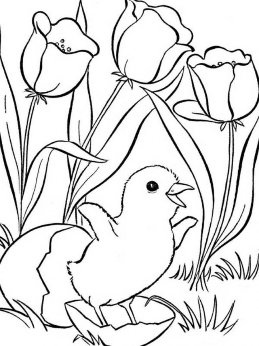 Раскраска: Весенний сезон (природа) #164796 - Бесплатные раскраски для печати