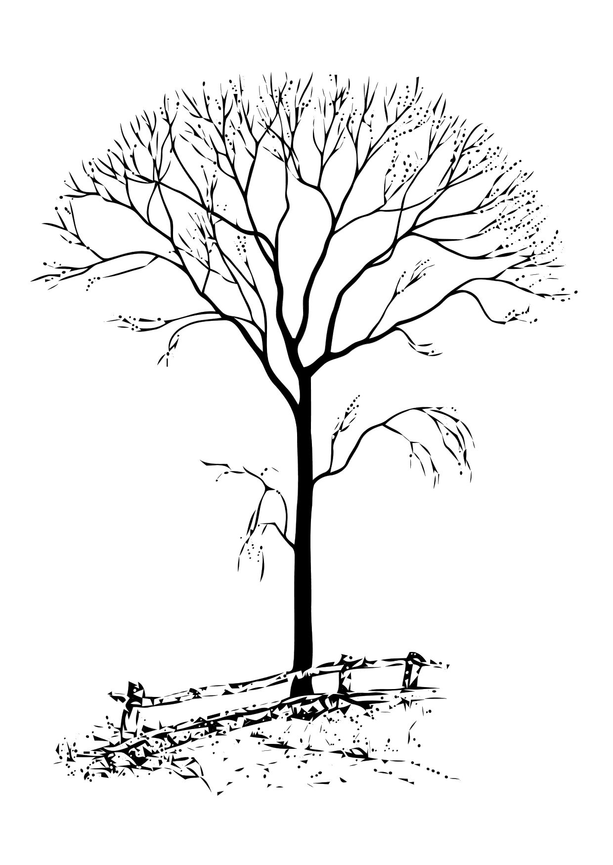 Раскраска: дерево (природа) #154769 - Бесплатные раскраски для печати