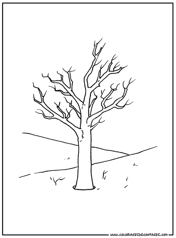 Раскраска: дерево (природа) #154777 - Бесплатные раскраски для печати