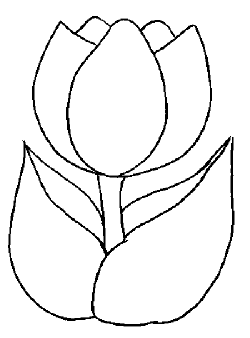 Раскраска: тюльпан (природа) #161621 - Бесплатные раскраски для печати