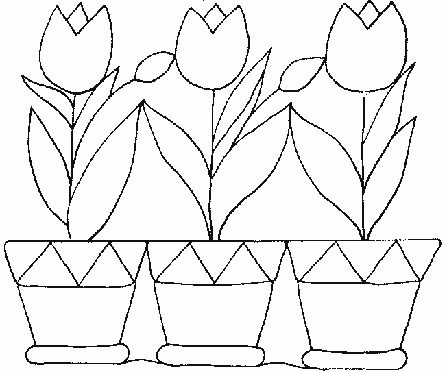 Раскраска: тюльпан (природа) #161623 - Бесплатные раскраски для печати
