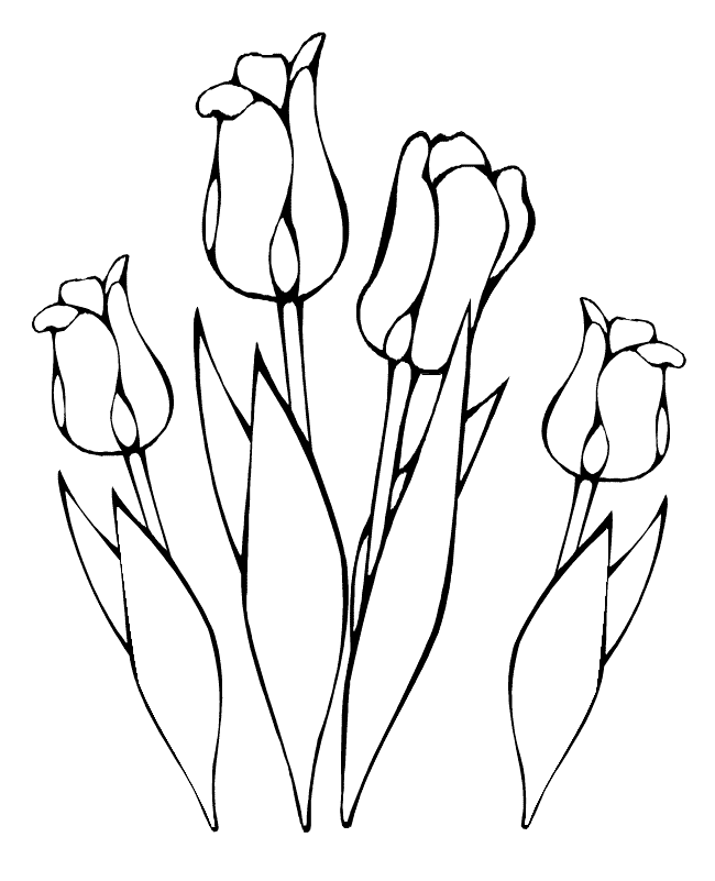 Раскраска: тюльпан (природа) #161632 - Бесплатные раскраски для печати