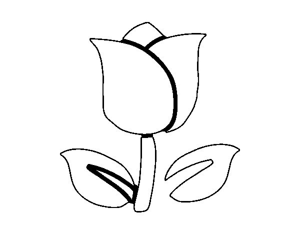 Раскраска: тюльпан (природа) #161638 - Бесплатные раскраски для печати