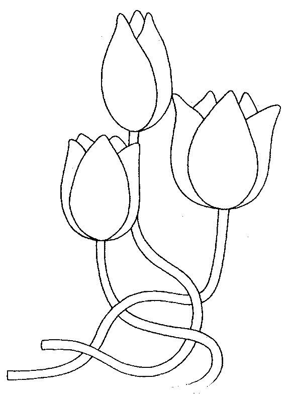 Раскраска: тюльпан (природа) #161639 - Бесплатные раскраски для печати