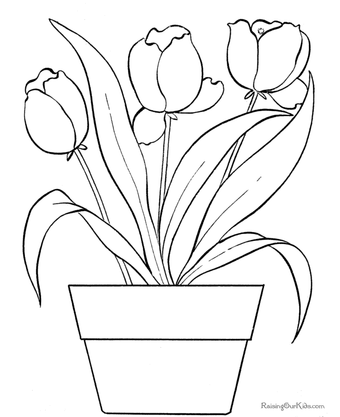 Раскраска: тюльпан (природа) #161661 - Бесплатные раскраски для печати