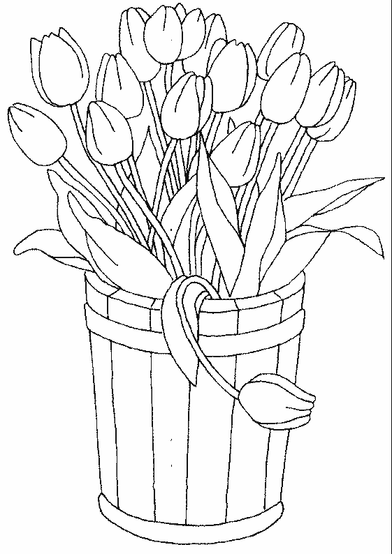 Раскраска: тюльпан (природа) #161666 - Бесплатные раскраски для печати