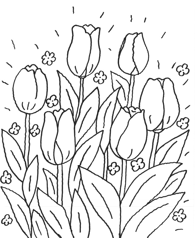 Раскраска: тюльпан (природа) #161702 - Бесплатные раскраски для печати