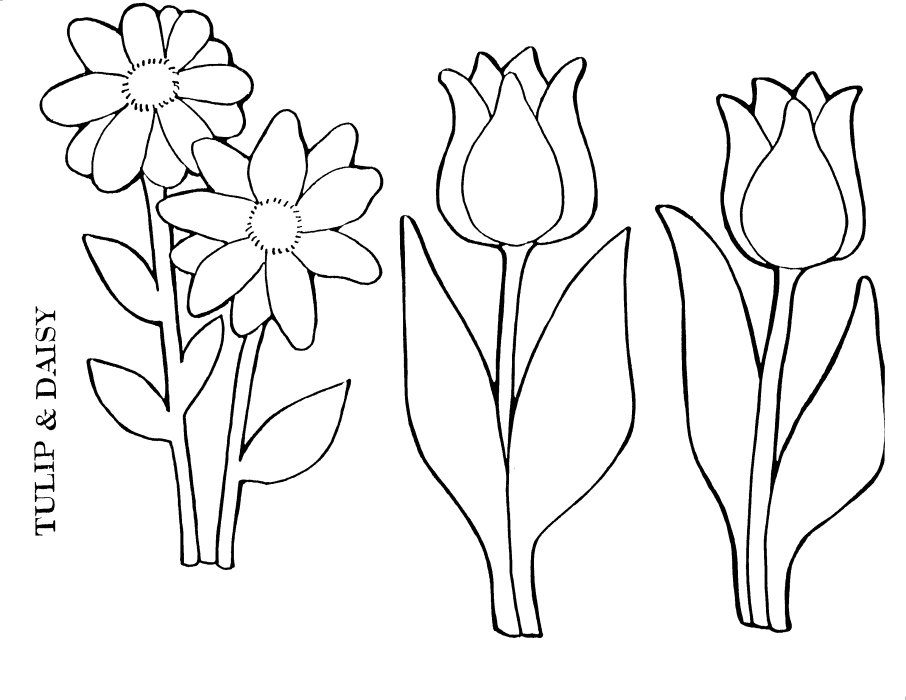 Раскраска: тюльпан (природа) #161704 - Бесплатные раскраски для печати
