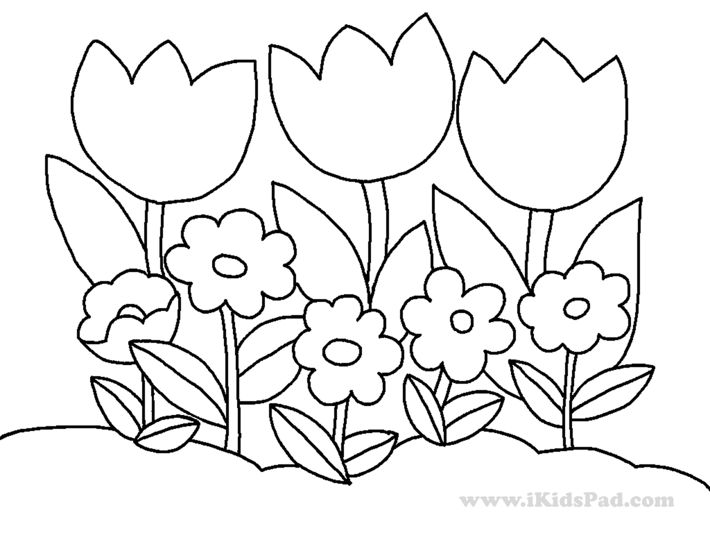 Раскраска: тюльпан (природа) #161758 - Бесплатные раскраски для печати