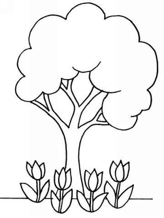 Раскраска: тюльпан (природа) #161772 - Бесплатные раскраски для печати