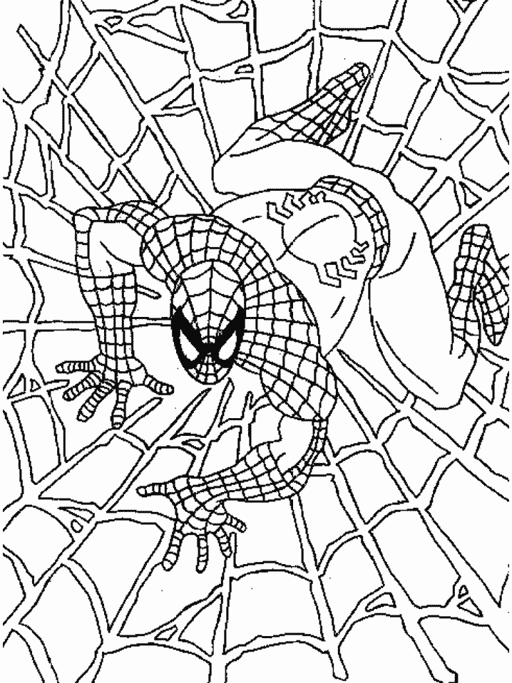 Раскраска: человек-паук (Супер герой) #78644 - Бесплатные раскраски для печати