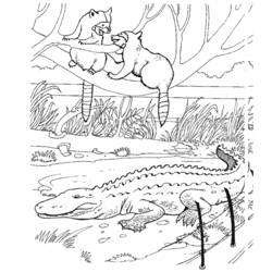 Раскраска: аллигатор (Животные) #421 - Бесплатные раскраски для печати