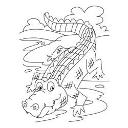Раскраска: аллигатор (Животные) #450 - Бесплатные раскраски для печати