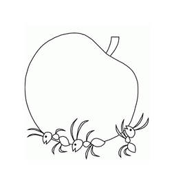 Раскраска: муравей (Животные) #6964 - Бесплатные раскраски для печати