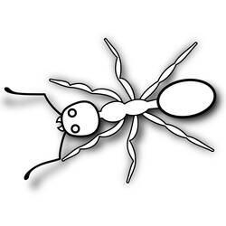 Раскраска: муравей (Животные) #7017 - Бесплатные раскраски для печати