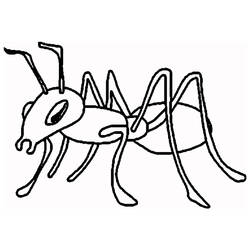 Раскраски: муравей - Бесплатные раскраски для печати