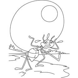 Раскраска: муравей (Животные) #7030 - Бесплатные раскраски для печати