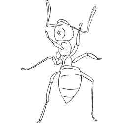 Раскраска: муравей (Животные) #7036 - Бесплатные раскраски для печати