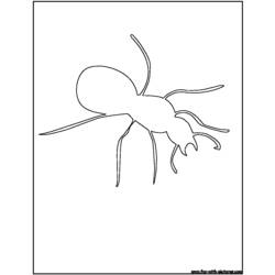 Раскраска: муравей (Животные) #7094 - Бесплатные раскраски для печати
